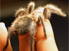 Holding a specimen at Bug Blast