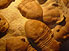 Trilobites