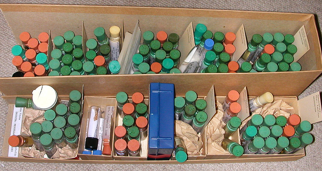 many small vials of specimens