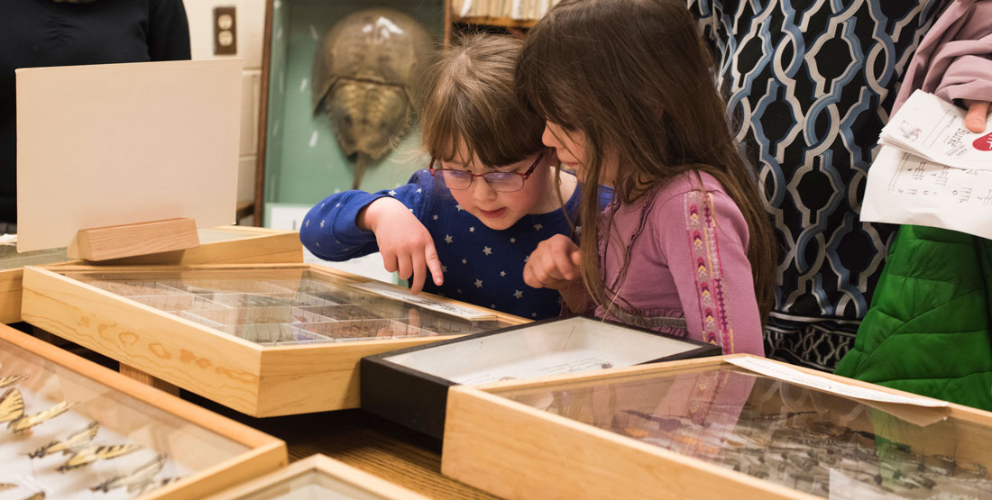 two little girls look at butterflies in display cases