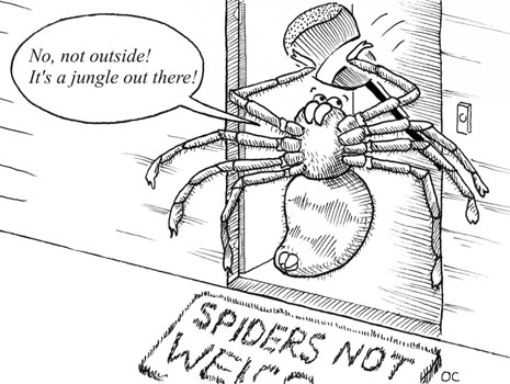 cartoon drawing of a spider holding back at a doorway with words "no, not outside! It's a jungle out there!"