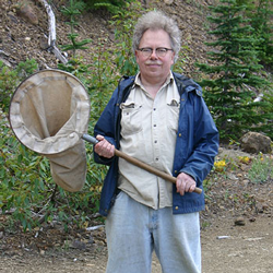 a man stands in the forest holding a bug catching net
