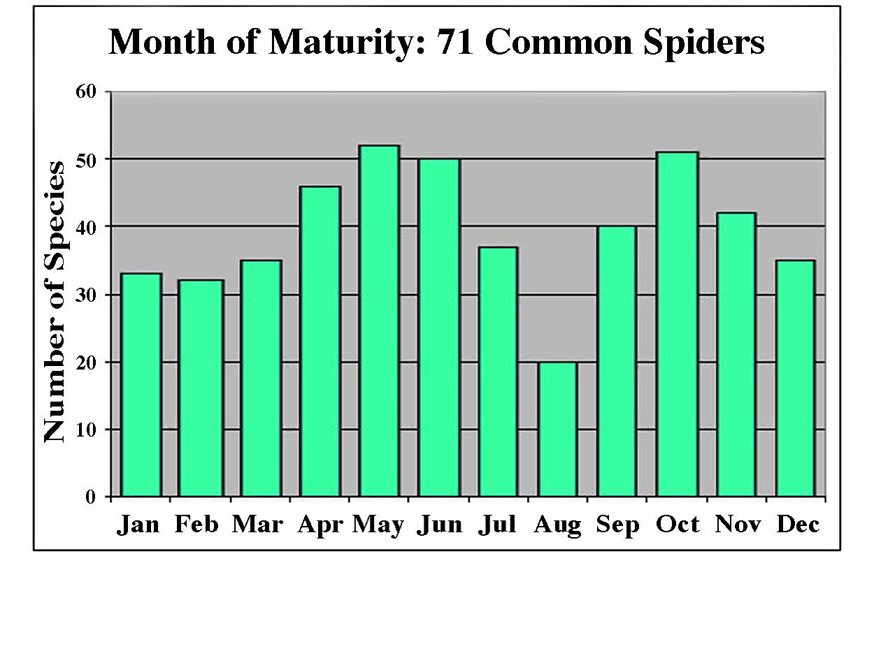 a chart showing each month of maturity for 71 common spiders in western Washington