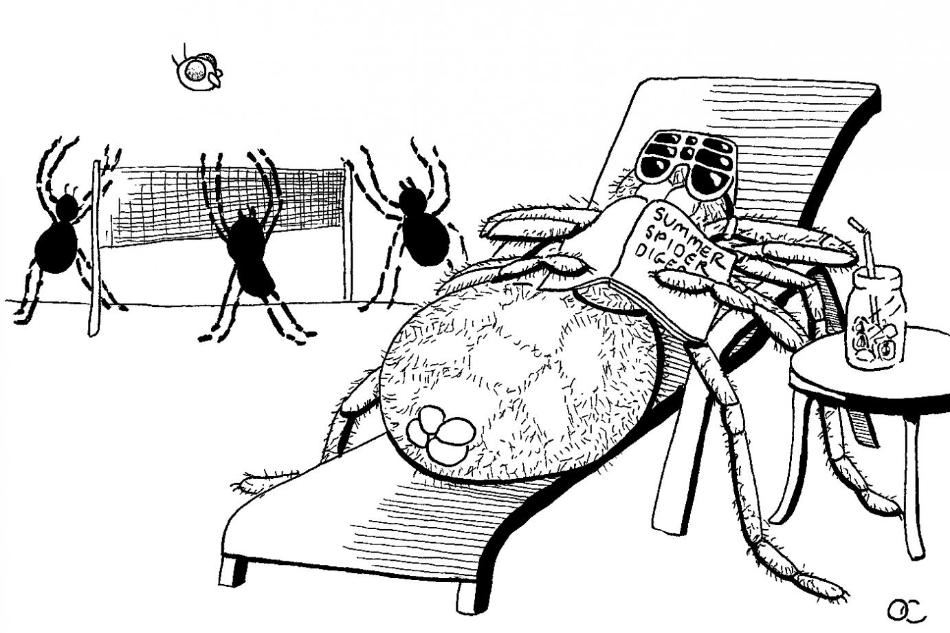 a comic showing a spider lounging in the sun with sunglasses on