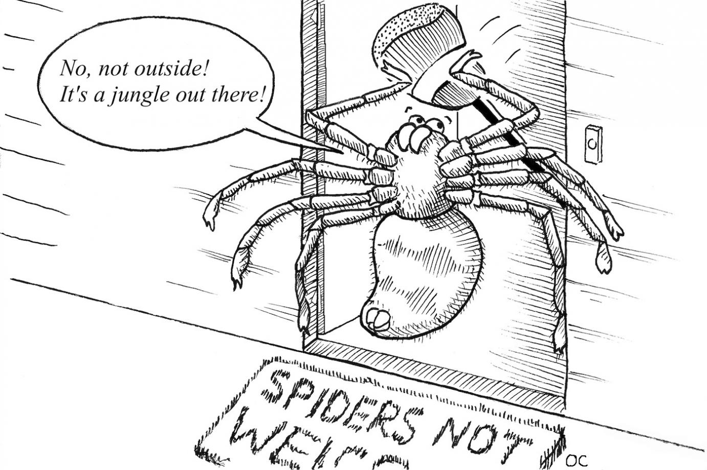 A comic of a spider banging on a front door