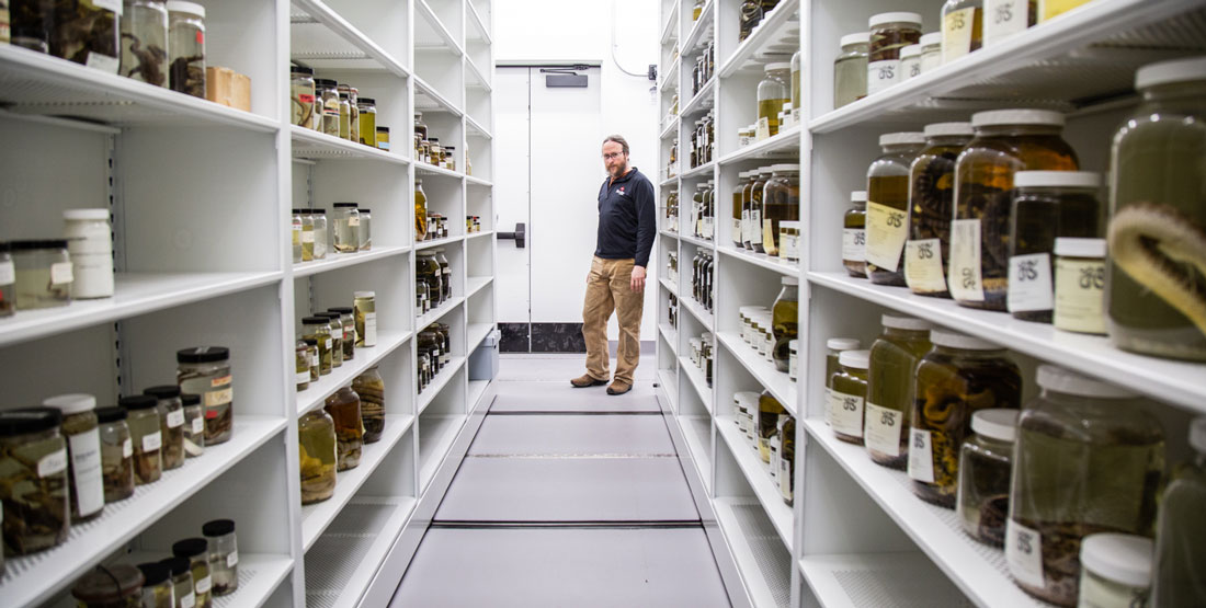 a man stands at the far end of an open collection row with hundreds of glass jars on shelves