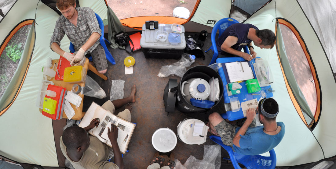 a team sits in a tent while processing lizard specimens in the field