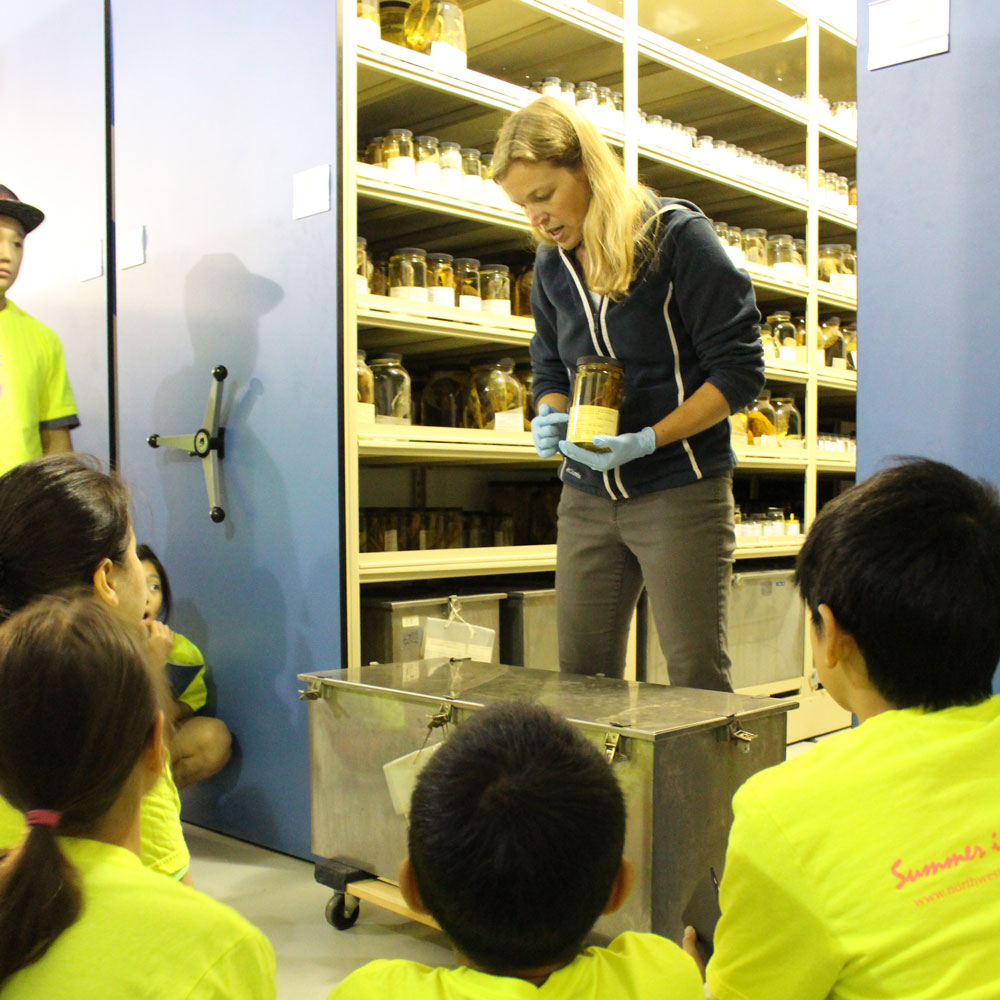 a woman gives a tour of the fish collection to a group of middle school students