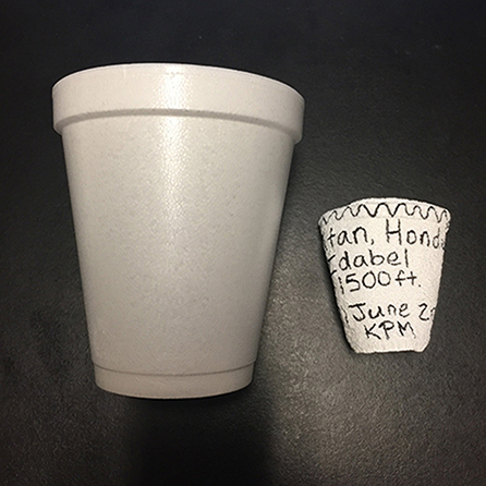 Two styrofoam cups, one normal size and one shrunken