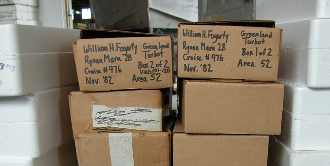 A stack of cardboard boxes with collection information written on them in sharpie marker