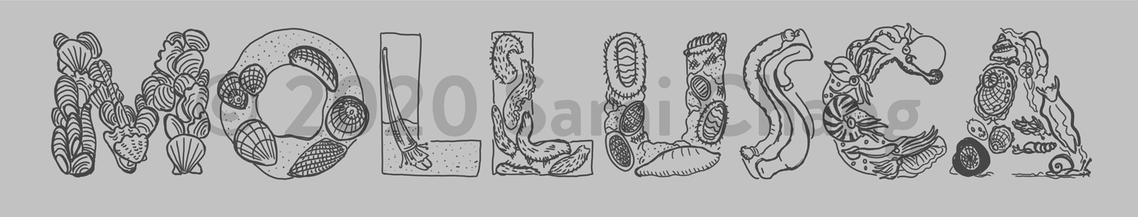 MOLLUSCA sketch, with each letter illustrating a group of mollusks