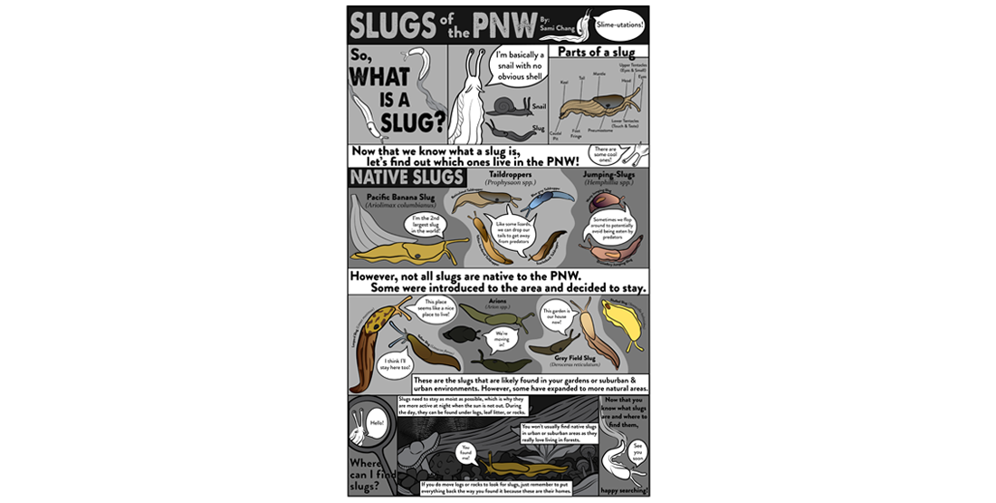 a comic about slugs of the Pacific Northwest