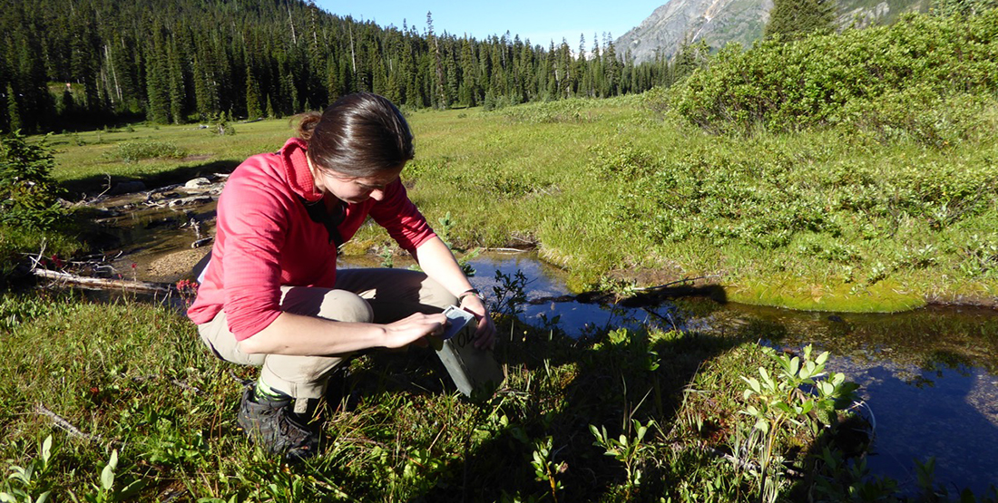 A woman kneels by a stream in a meadow and checks the contents of a small metal trap