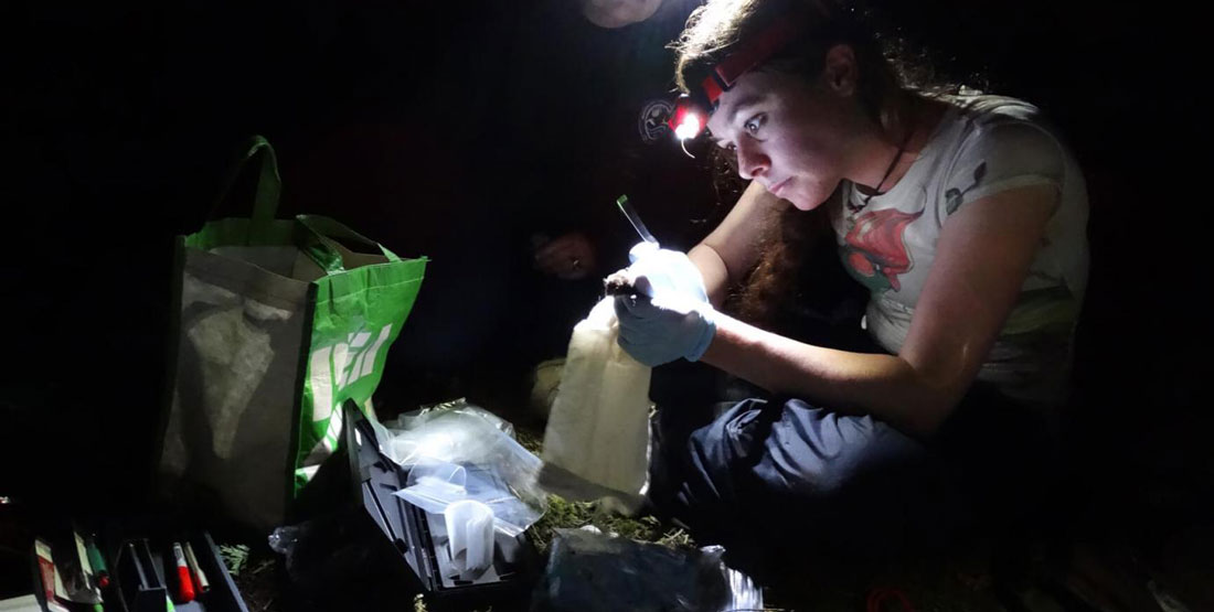 A woman researcher with her tools in the field at night