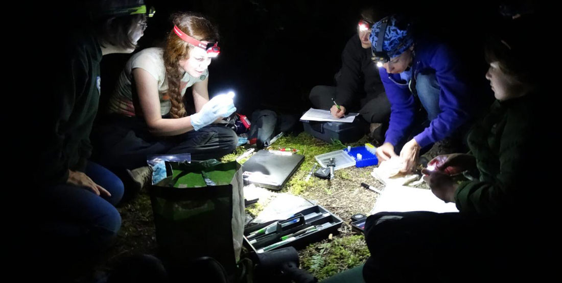A group of researchers sitting in a circle surrounded by their tools at night