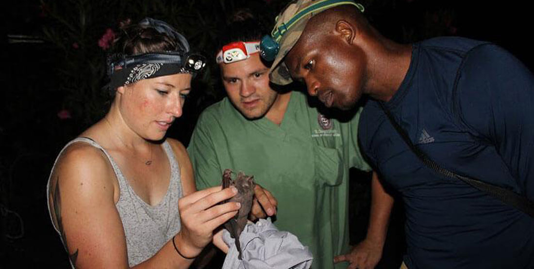 One female researcher holds a bat while two male researchers look on