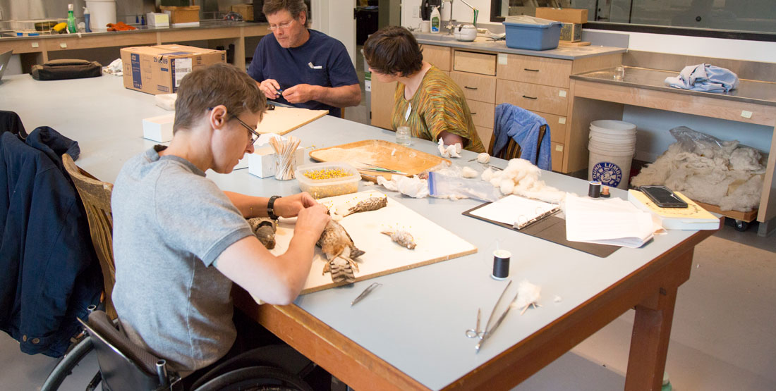 three people sit around a table while prepping bird specimens