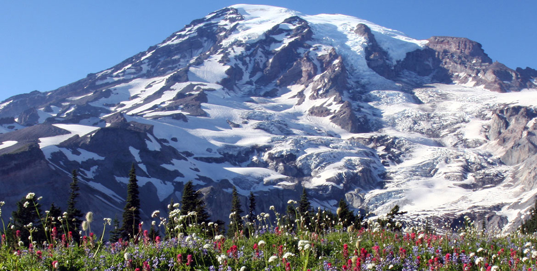 Mt. Rainier with wildflowers pictured