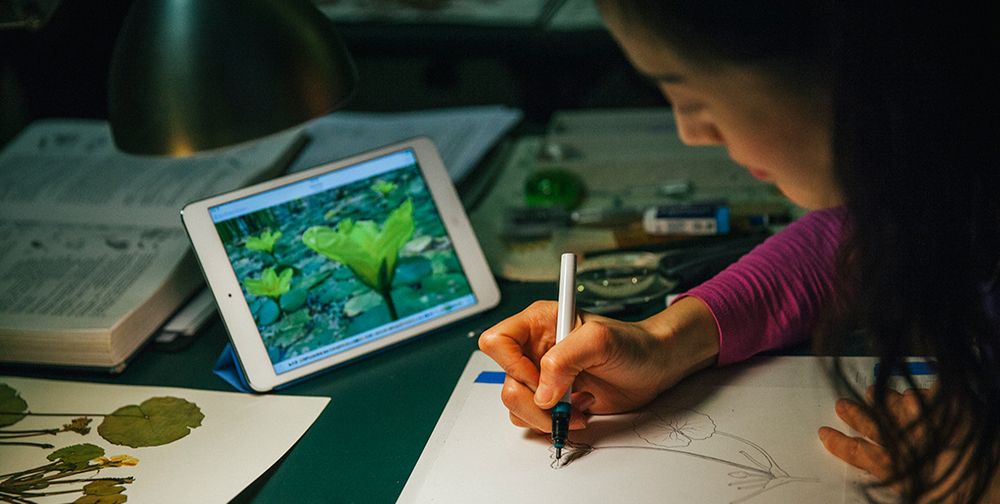 a young woman illustrates a plant for the new book