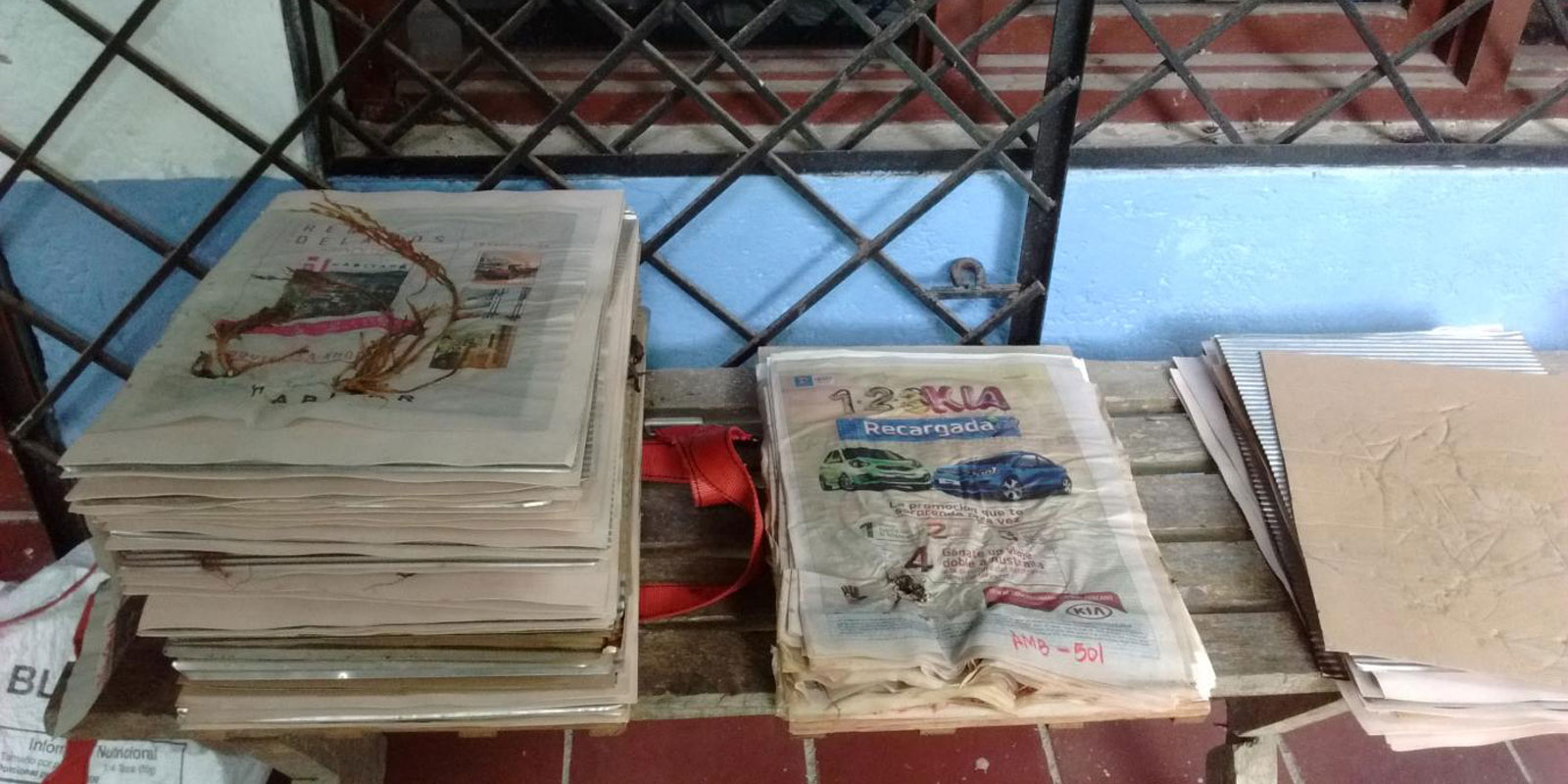 Two piles of newspaper with pressed plants in between the pages