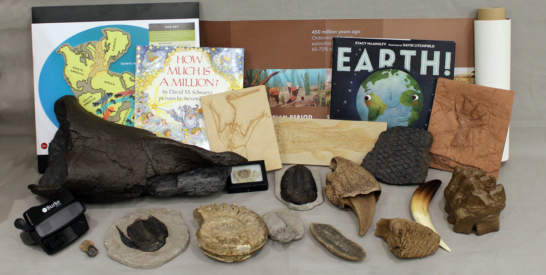 contents of the geologic time box