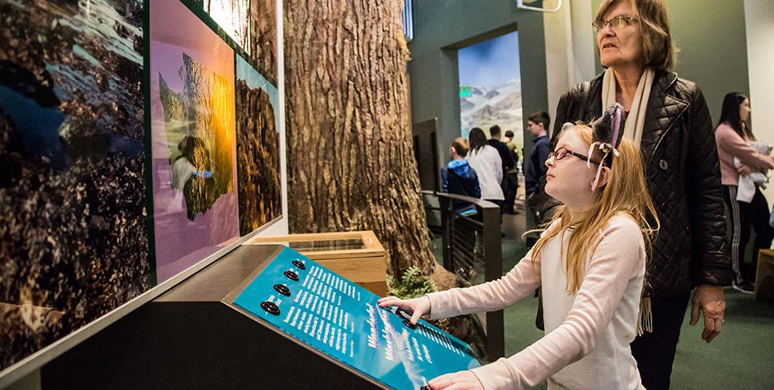 A young girl plays with an interactive exhibit while her grandma looks on