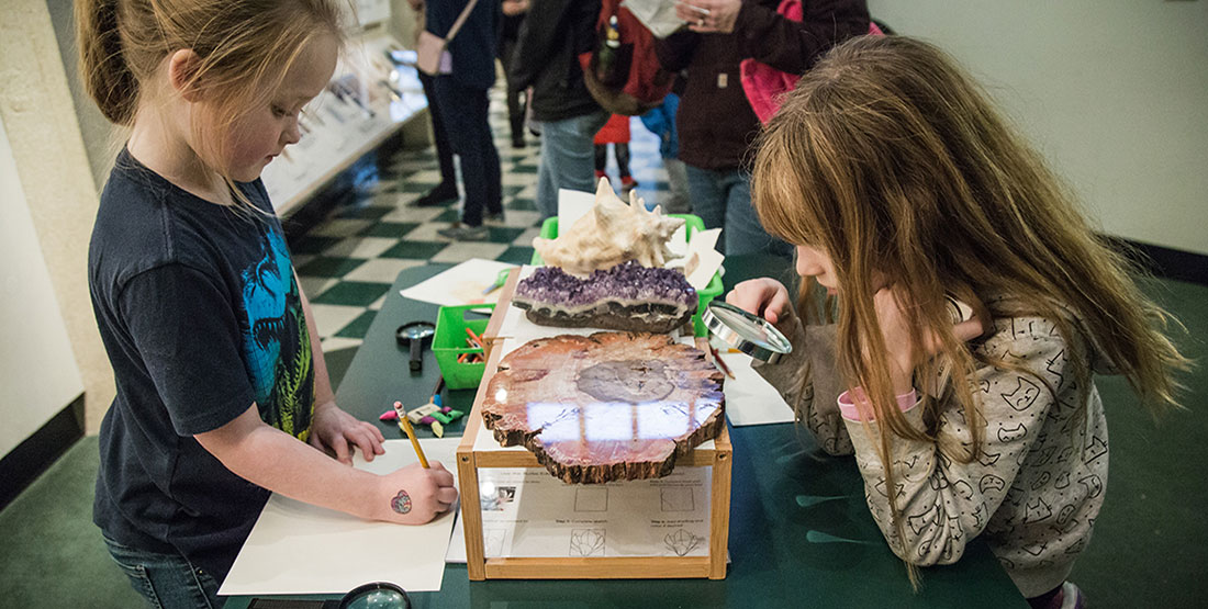 Two young girls look closely at petrified wood while drawing what they see