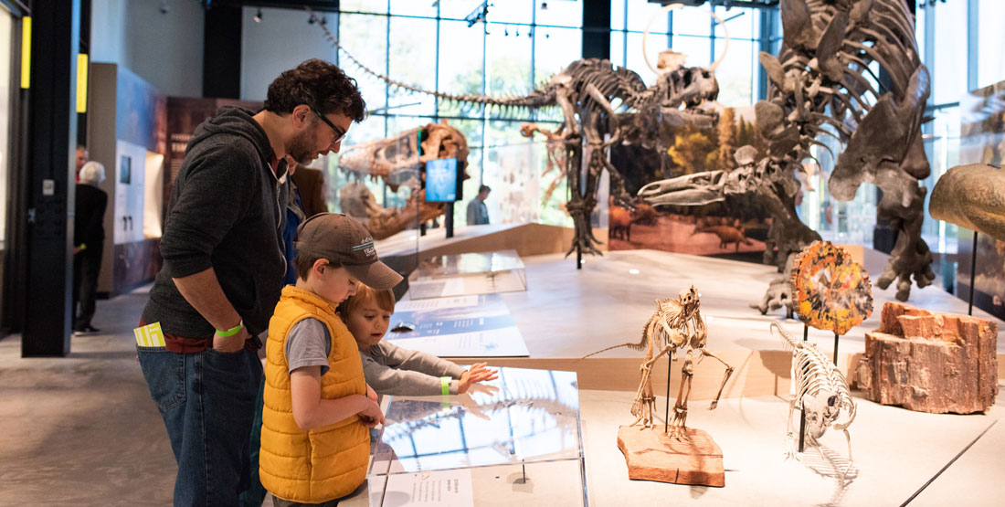 a family looks at fossils with dinosaur skeletons in the background