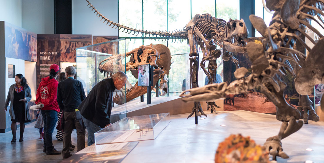a group of people look at dinosaur exhibits and other fossils