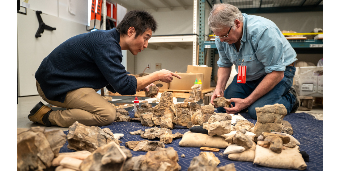Two people on the floor surrounded by pieces of fossil. 