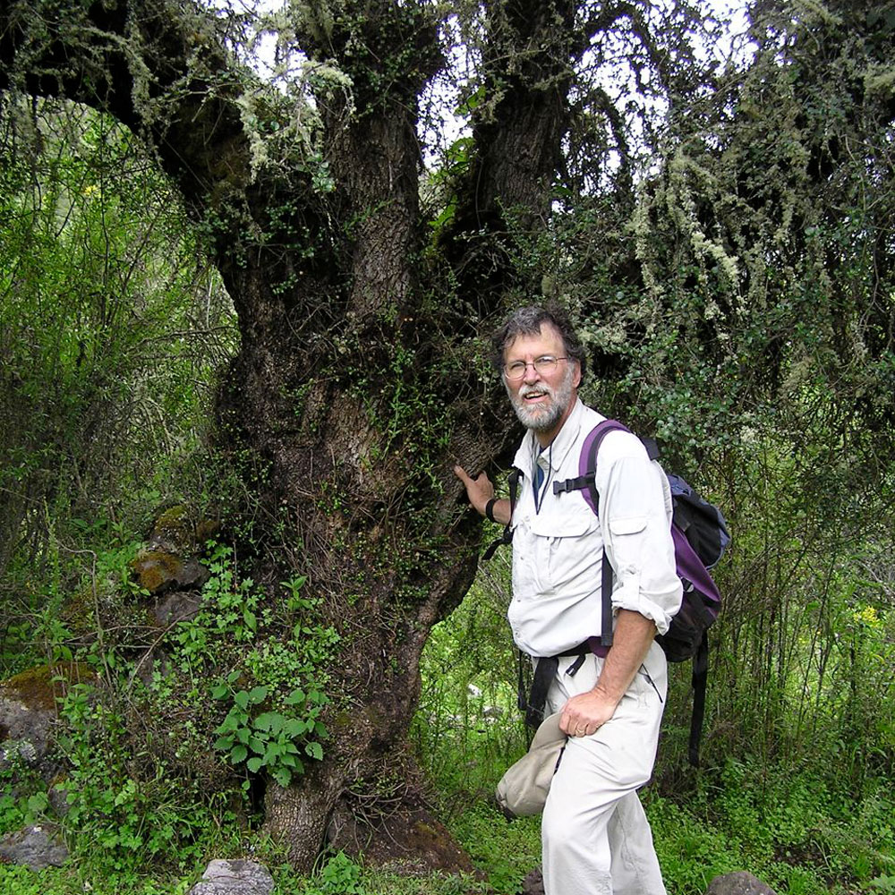 A male researcher stands next to a tree