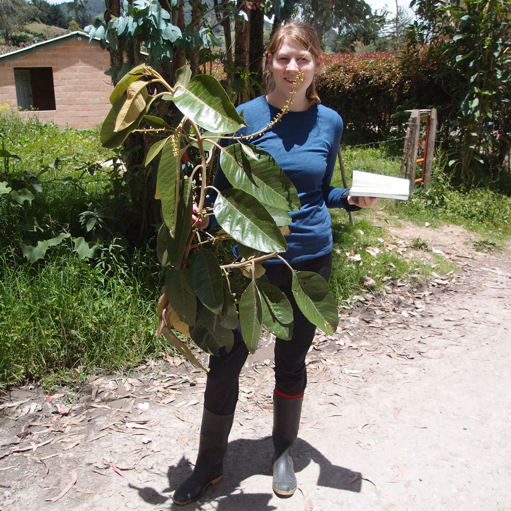 A woman researcher stands outside holding a branch with leaves and fruit
