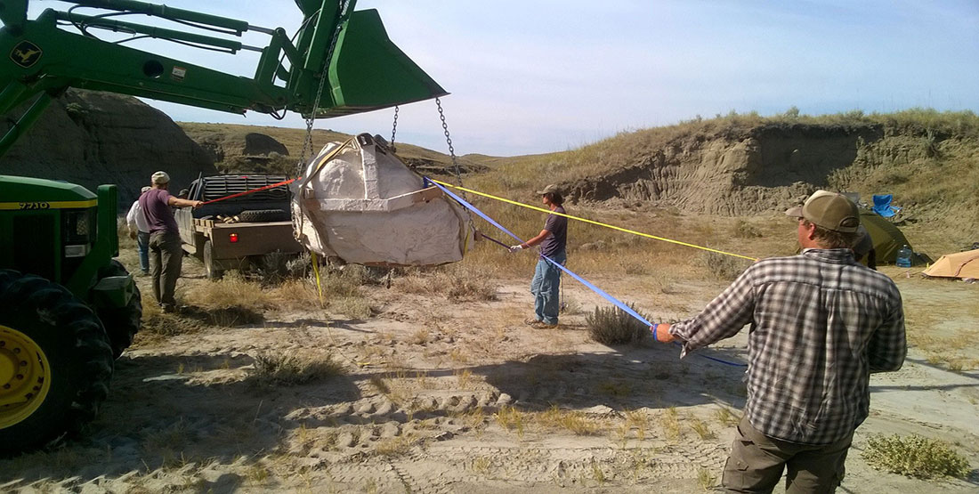 The skull jacket is lifted by a tractor as paleontologists use ropes to help guide it to a flatbed truck