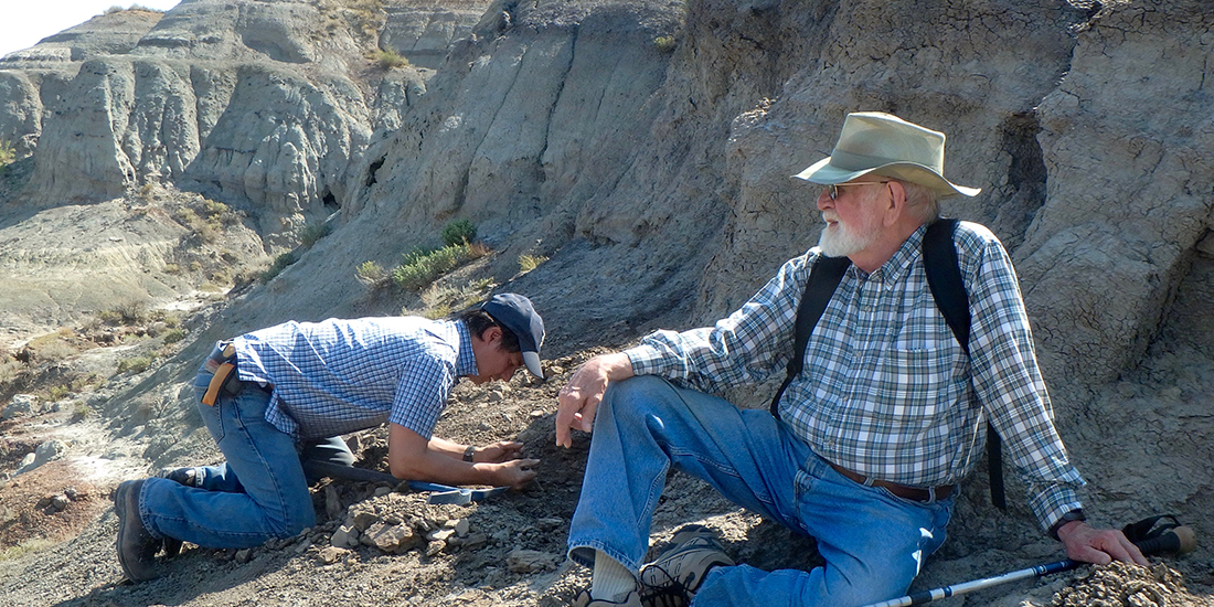 two men look at fossils in rocks