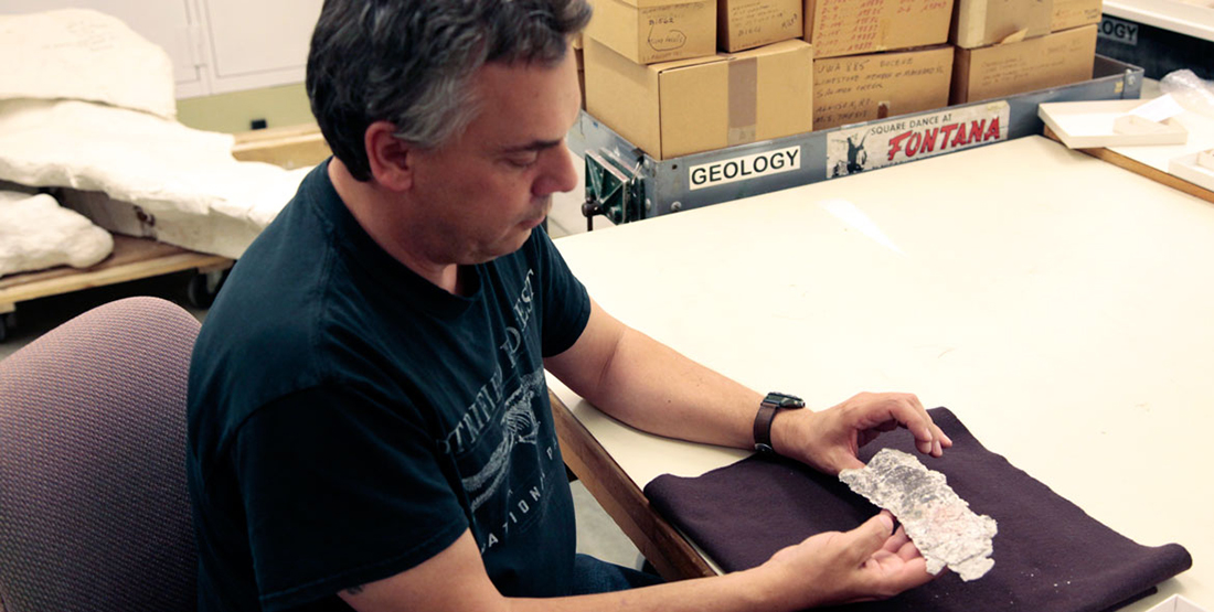 A man holds a fragile fossil in the Burke collections space