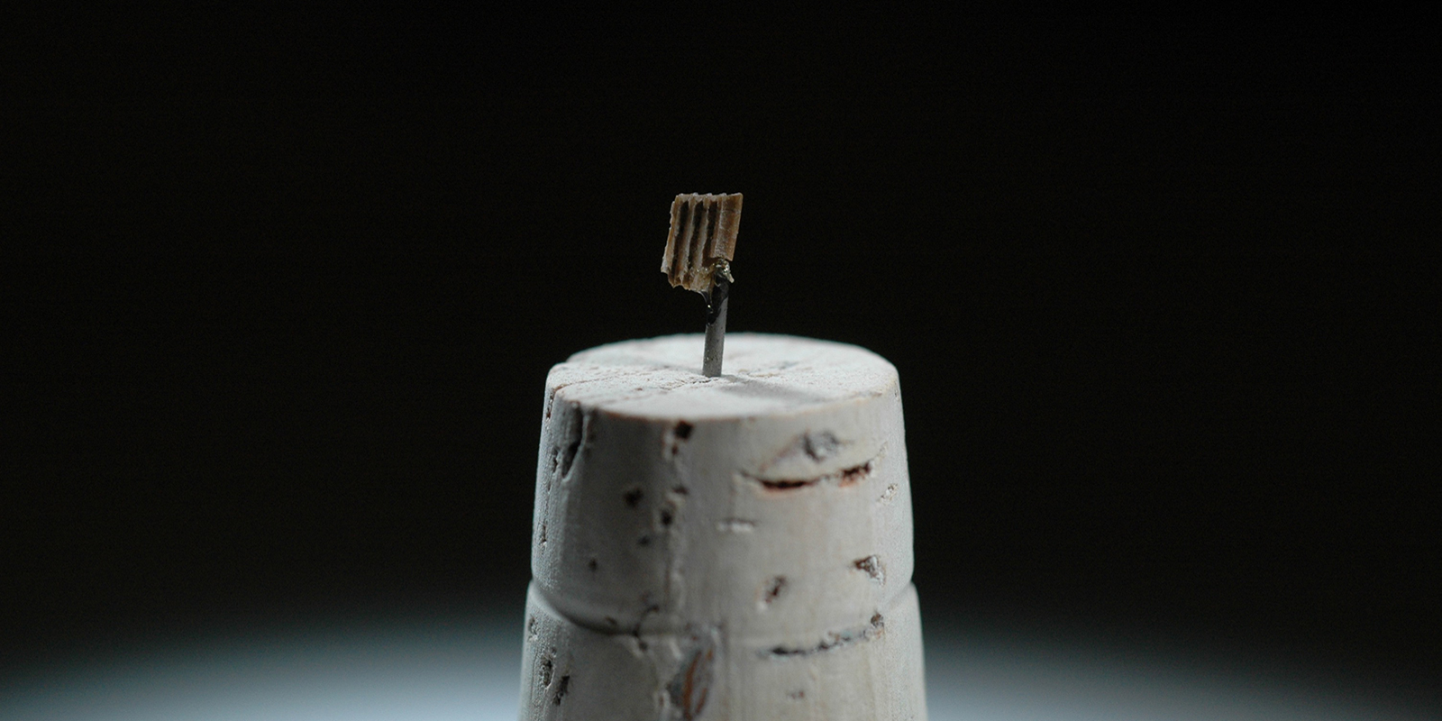 A tiny square-shaped tooth is mounted on a small piece of cork