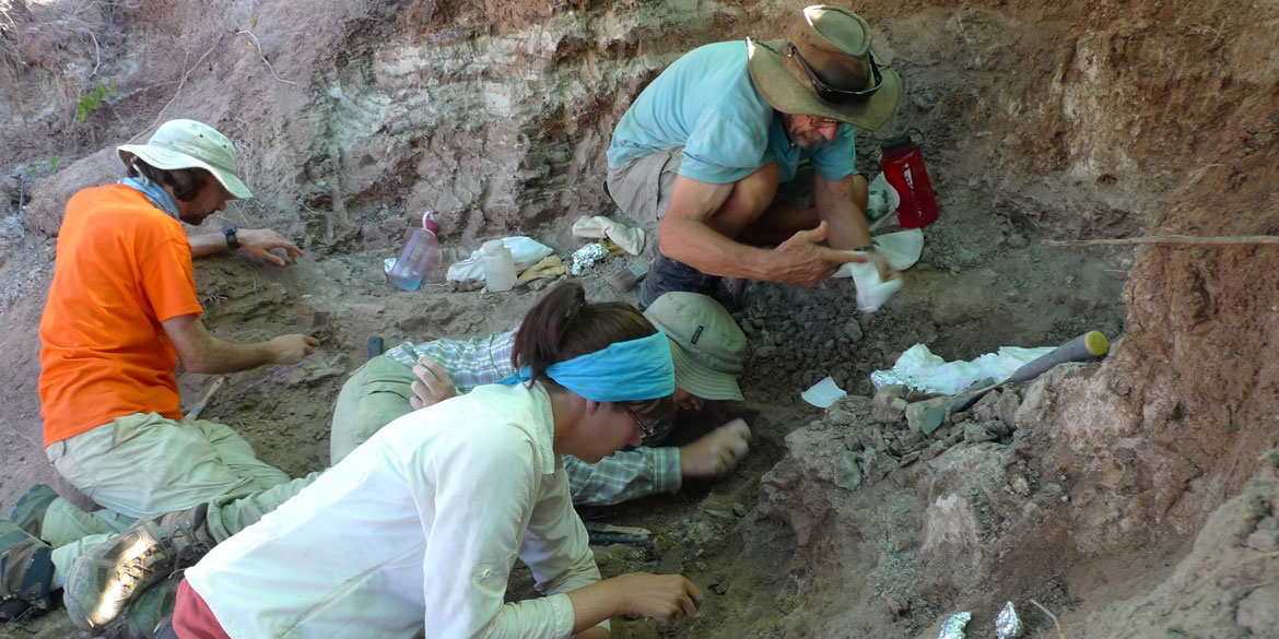 four paleontologists examine rock outcrop while digging for fossils