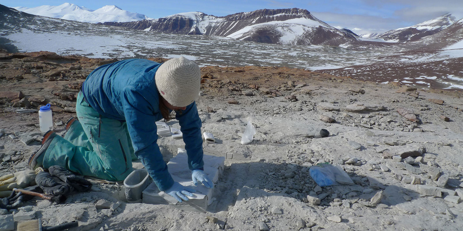 a young woman kneels on the rock while applying plaster a fossil in antarctica