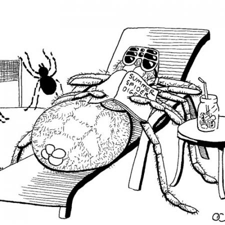 a cartoon of a spider laying on a lounge chair with sunglasses