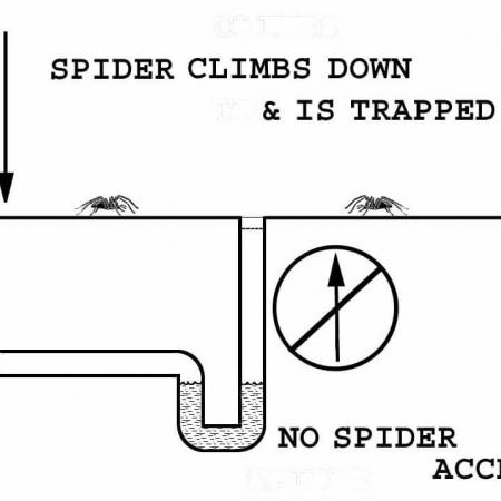 A diagram showing spiders do not crawl up the house drains