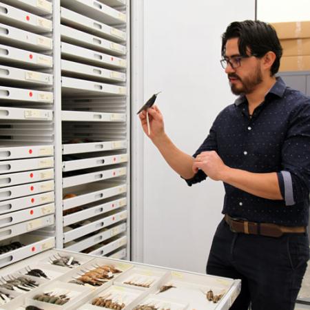 Alejandro Rico-Guevara talks about collections at the Burke Museum.