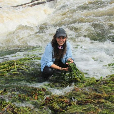 A woman researcher sits in the river holding green river weed