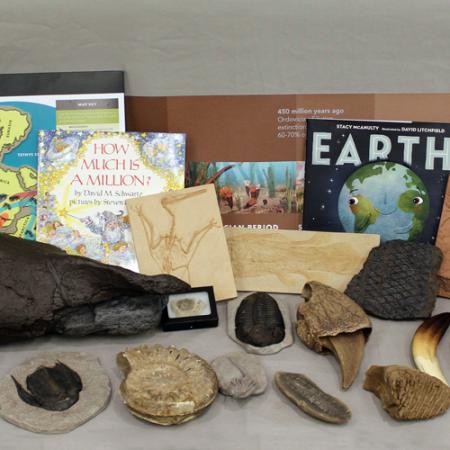 contents of geologic burke box