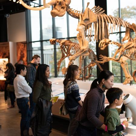 People looking at a sabertooth cat and giant sloth fossil