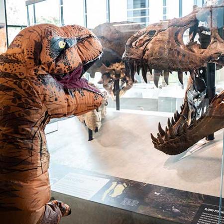 a person in an inflatable t rex costume looks at a real t rex skull