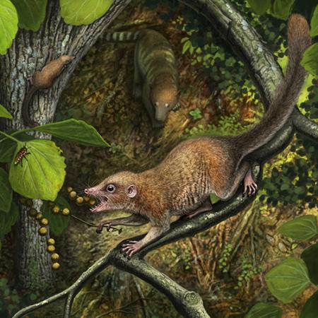 A lifelike rendering of a small mammal eating insects in the trees