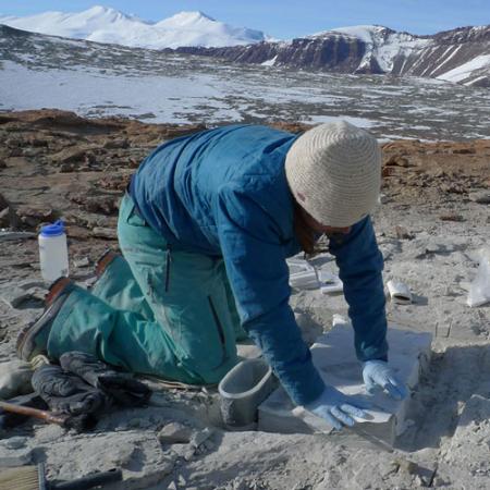 a young woman kneels while applying plaster to a fossil in Antarctica