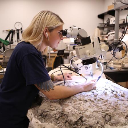 a woman uses a microscope to prepare a large fossil