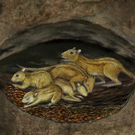 A group of rodent-like mammals in a den