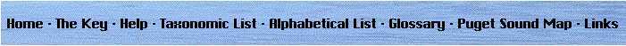 Menu Bar